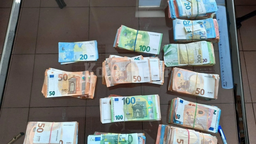 Митничари откриха недекларирани 100 000 евро на Дунав мост