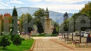 Община Берковица обяви на търг апетитни имоти