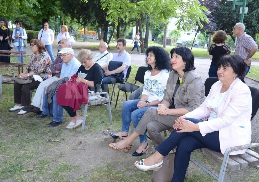 Поети писаха стихове, вдъхновени от Видин