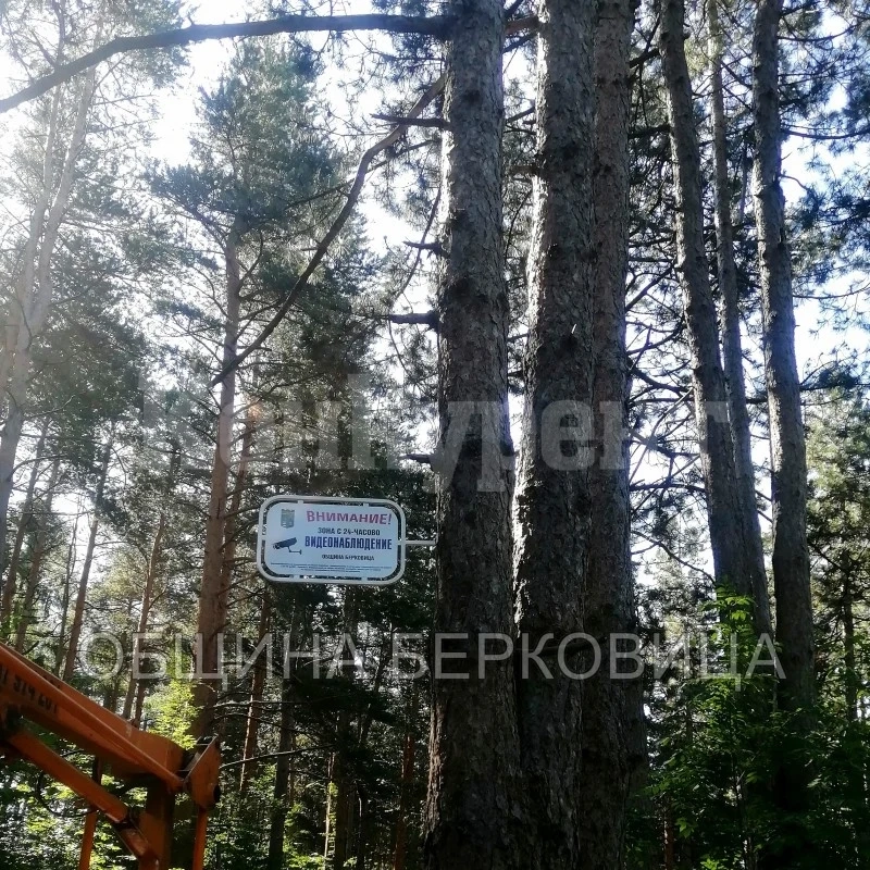 С камери наблюдават площадка за отпадъци в Берковица