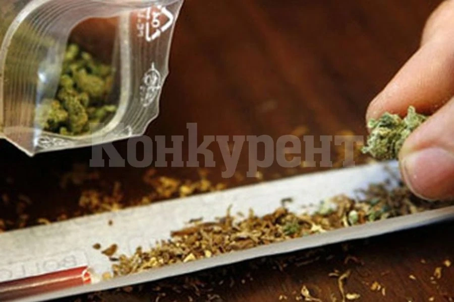 Закопчаха двама с канабис в Козлодуй