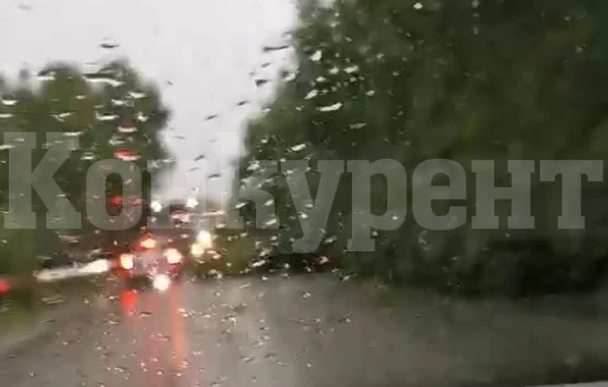 Дърво падна на път II-15, затруднява трафика между Враца и Оряхово ВИДЕО