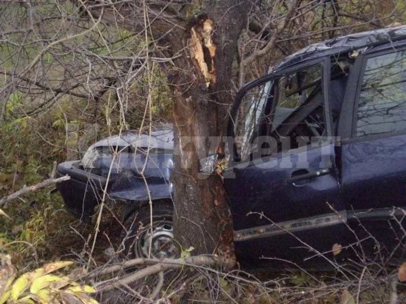 Кръв на пътя! Жена загина при катастрофа, пострада внучката й