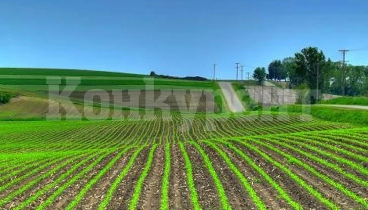 Скача цената на декар ниви в област Монтана, най-скъпи са в Якимово