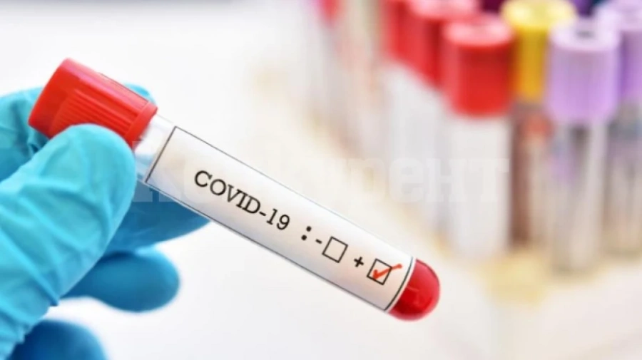 21 са активните случаи на COVID-19 в област Видин