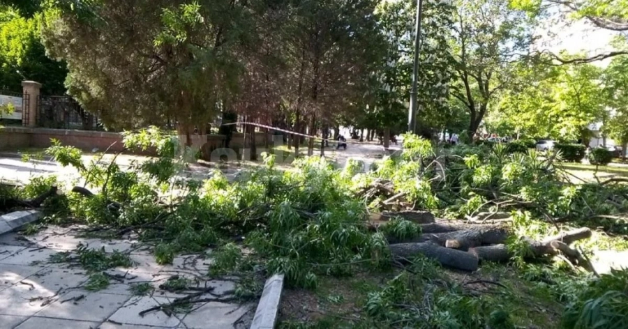 Ураганен вятър е потрошил десетки дървета в Монтана
