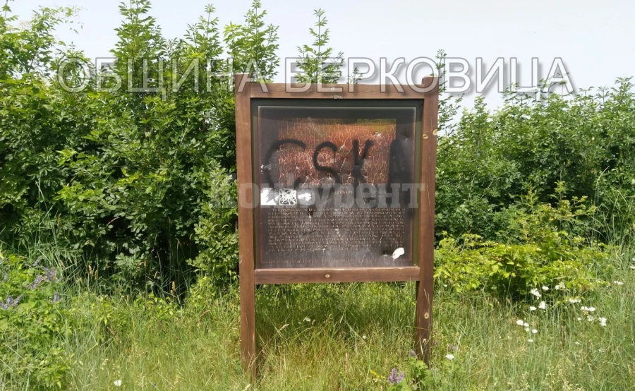 Вандали вилняха за пореден път в Берковица