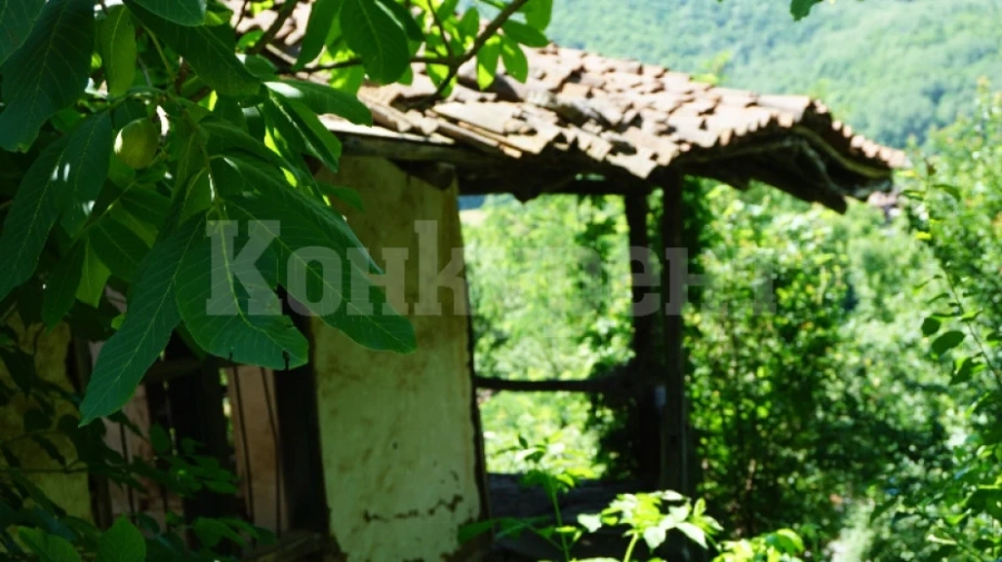 Село Главановци - сгушено в зеленина и пазещо спомени за майстори килимари и многоброен добитък