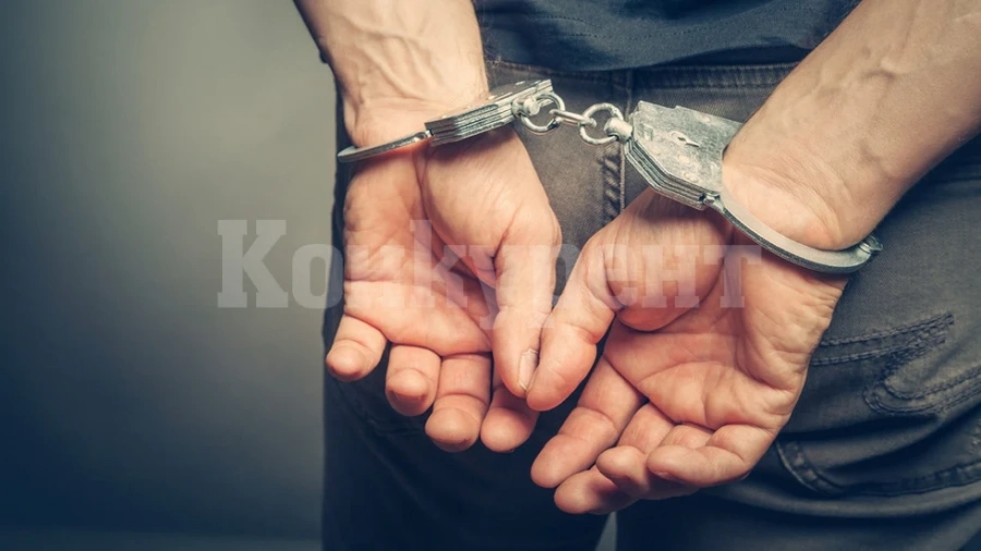Предаваме на Германия мъж от Монтанско, издирван за Интернет измами