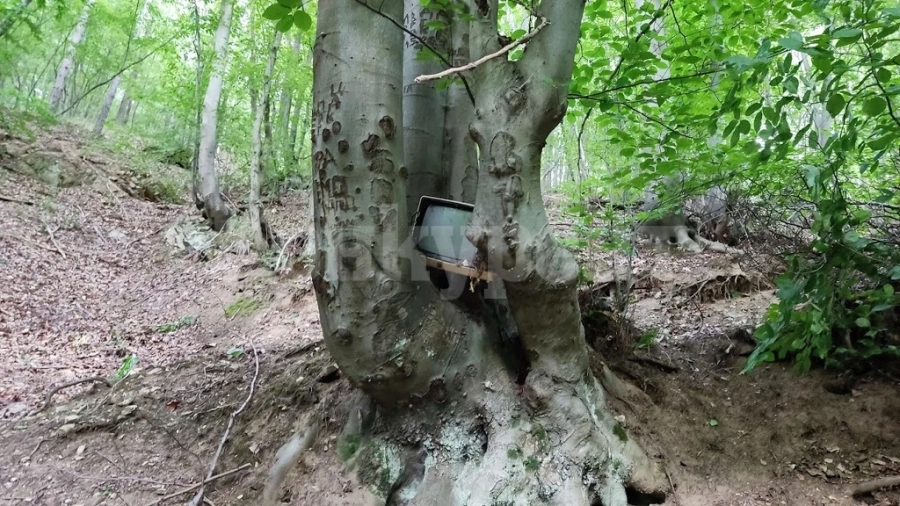 Предимно слънчево и топло в сряда