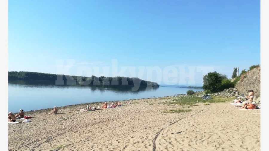 Почистват градския плаж на Баба Вида