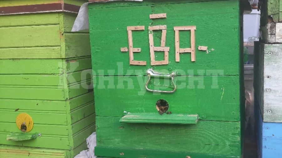 Видинчан изработва еко кошери с грижа за пчелите