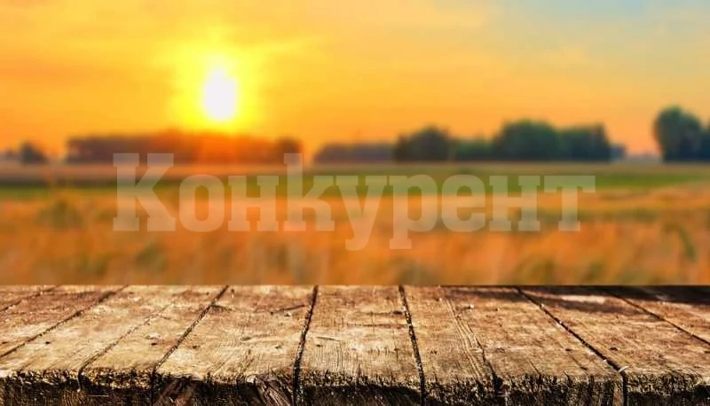 Слънчево и топло в деня на вота