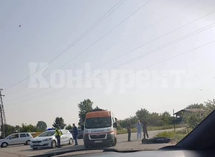 Кървава катастрофа с „Ауди“ взе жертва край Видин СНИМКА