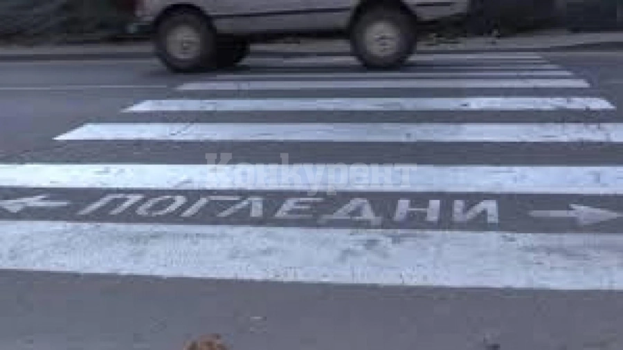 Кола помете майка с две деца на зебра