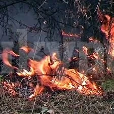 Разследват палеж на бали в Криводол