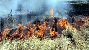 Пожар изпепели 200 декара суха растителност