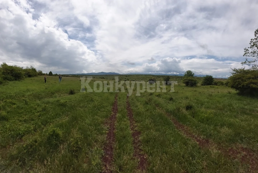 Най-висока е цената на нивите в Козлодуй, най-ниска в Мездра