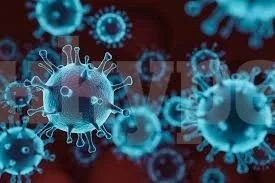 За 24 часа: 145 новозаразени с COVID - 19, 3-ма от тях са във Врачанско