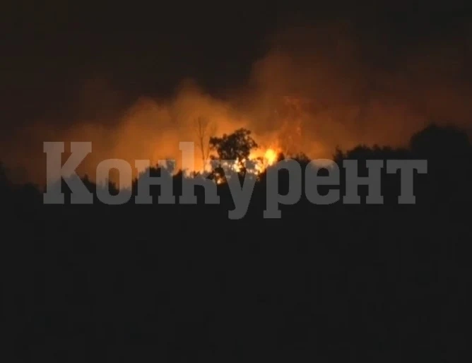 Пожар обхвана около 2000 декара борова гора край Свиленград, още го гасят