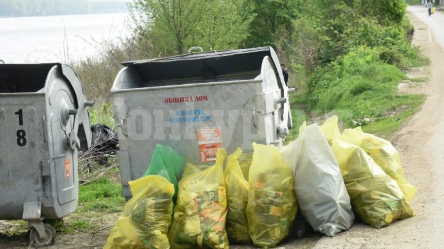 Доброволци чистят брега на Дунав в Лом