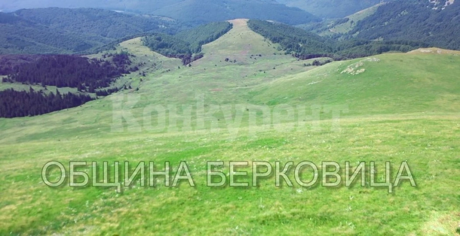 Берковица кани на празник на Балкана