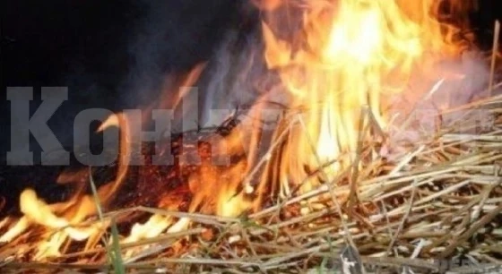 Огнен ад! Бали с люцерна горяха в криводолско село