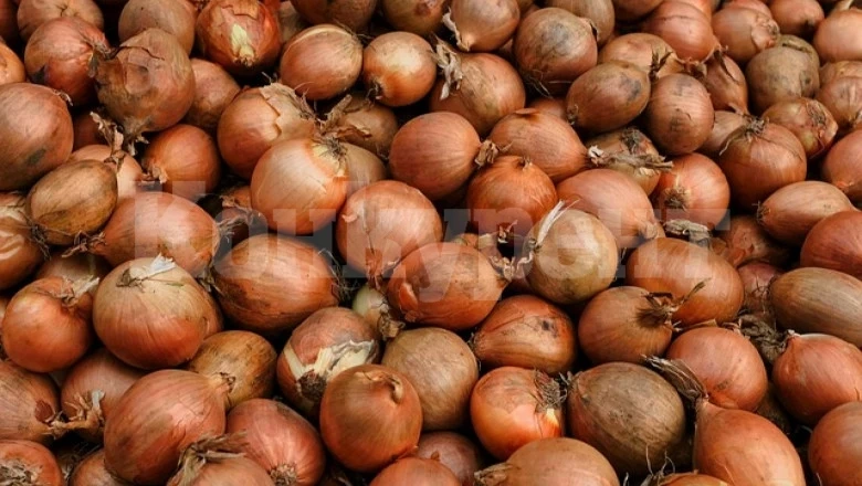 Земеделец от Софрониево изрева: Съсипаха ми продукцията