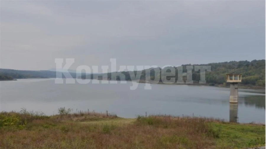 Доброволци зарибиха язовир Кула