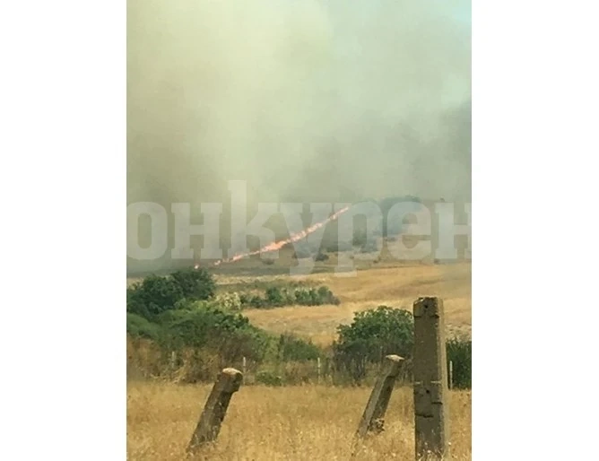 Няма данни за умишлен палеж на гората край Брягово