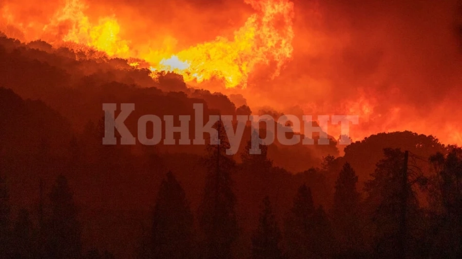 Голям пожар гори в Стара планина