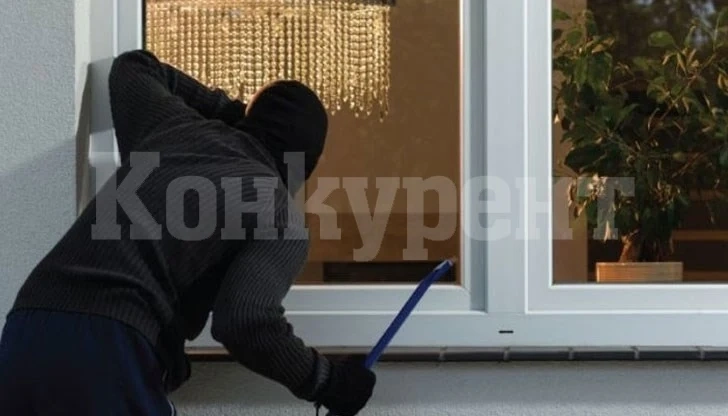 Пипнаха кокошкари, вилнели из врачанските лозя