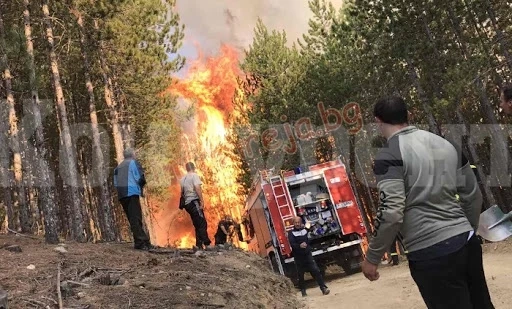 Пожар унищожи 350 декара лозе в село Рупци