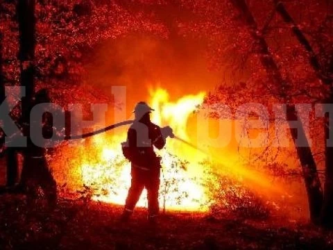 Седем пожара гасили вчера огнеборците в Монтанско