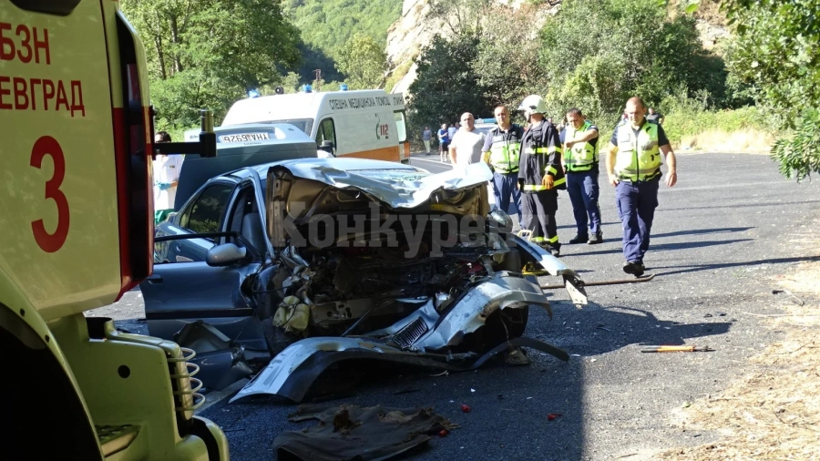 Пуснаха движението по Е-79 след катастрофа с два трупа