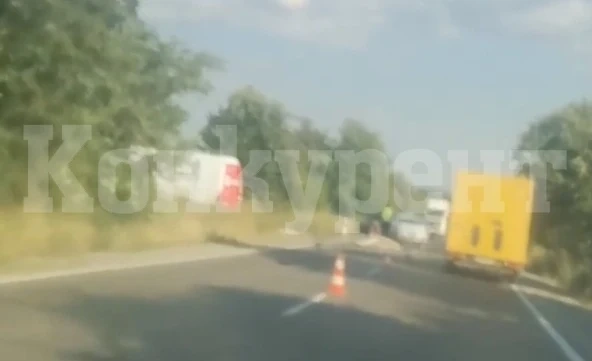 Човек загина на пътя край Монтана СНИМКИ