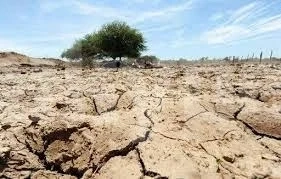 Метео Балканс: Горещината от Африка ще изпече България