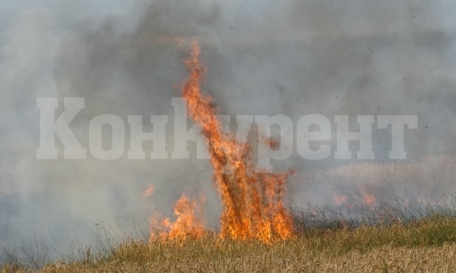 Пожари погълнаха стопански постройки   