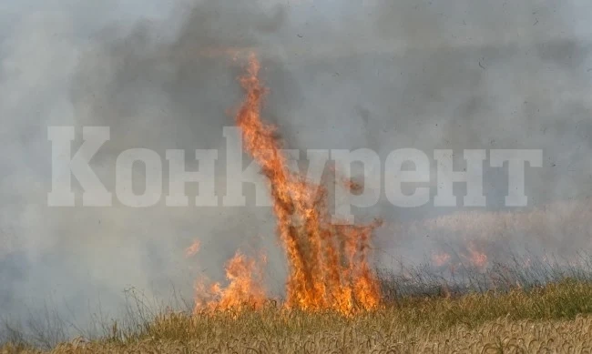 Пожари погълнаха стопански постройки