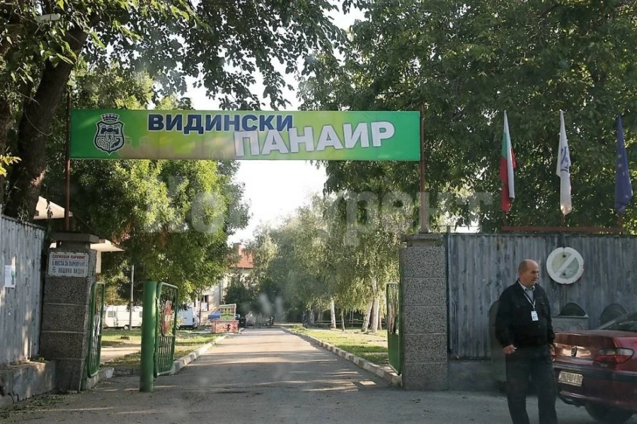 Звезди чакат за сцената на видинския панаир