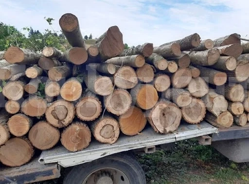Конфискуваха камион заради незаконна сеч