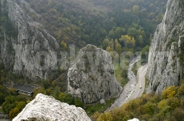 Канят на разходка до „Каменните гъби\