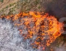 Три пожара в сухи треви вилнели в Монтанско
