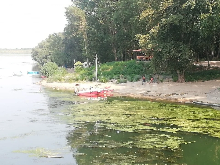 Национален воден поход премина през Козлодуй