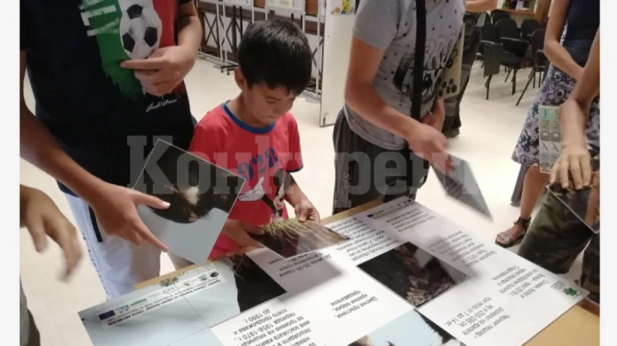 Презентация популяризира лешоядите