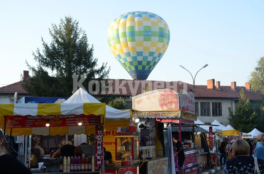Всички говорят за Видинския панаир, но вижте БРУТАЛНИ СНИМКИ от тоалетните му