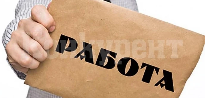 Работодатели в Северозапада търсят близо 600 работници
