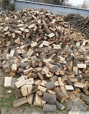 В селски двор намериха незаконно добити дърва