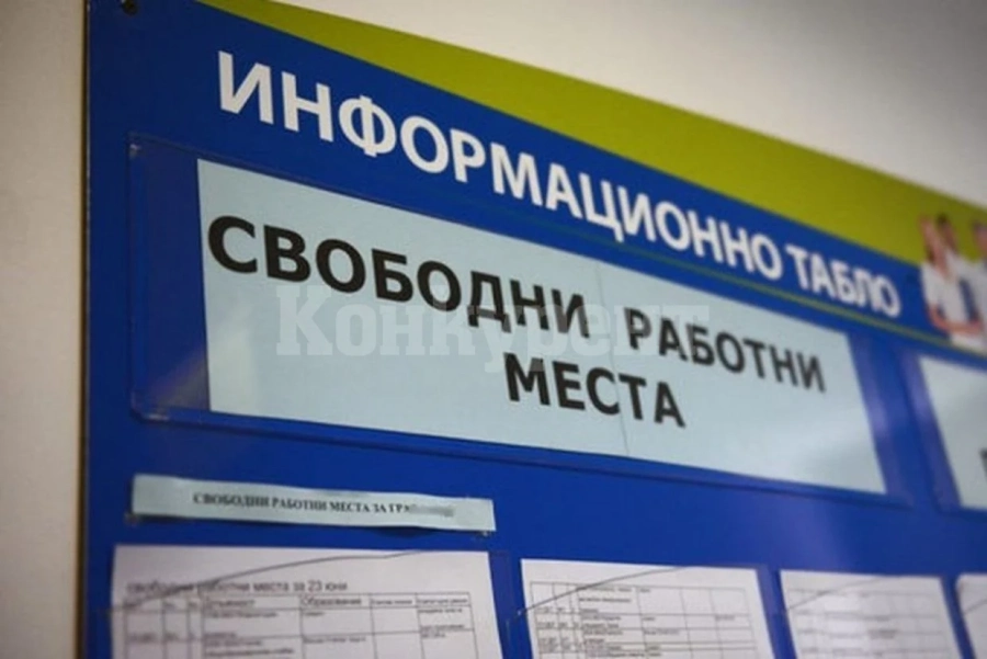 Десетки работни места обявиха във Видинско, вижте какви кадри се търсят