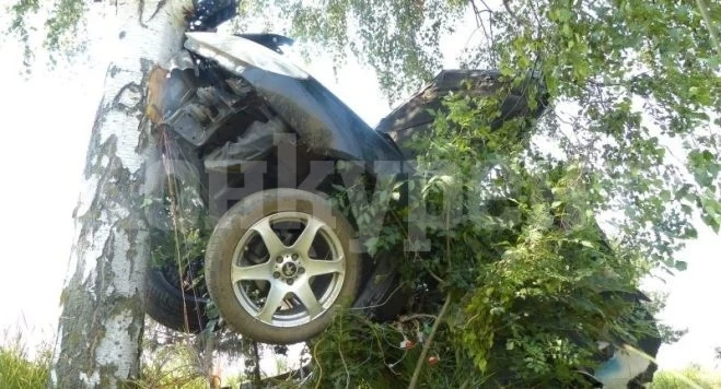Почерпен шофьор се натресе в дърво